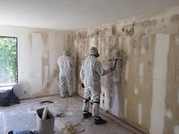 Why You Should Choose Our Mold Remediation Services in Manvel, TX